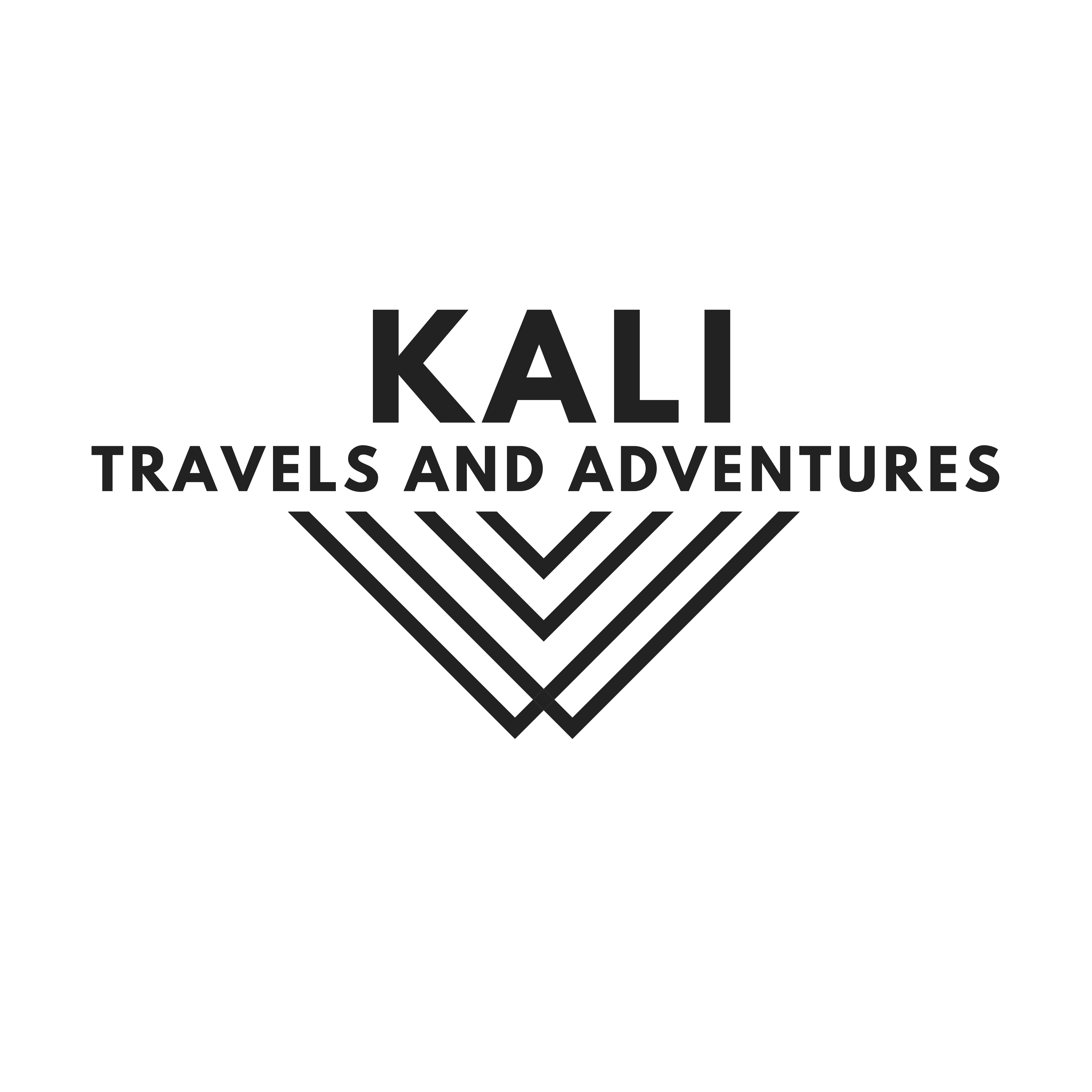 Logo de conercial y servicios kali spa