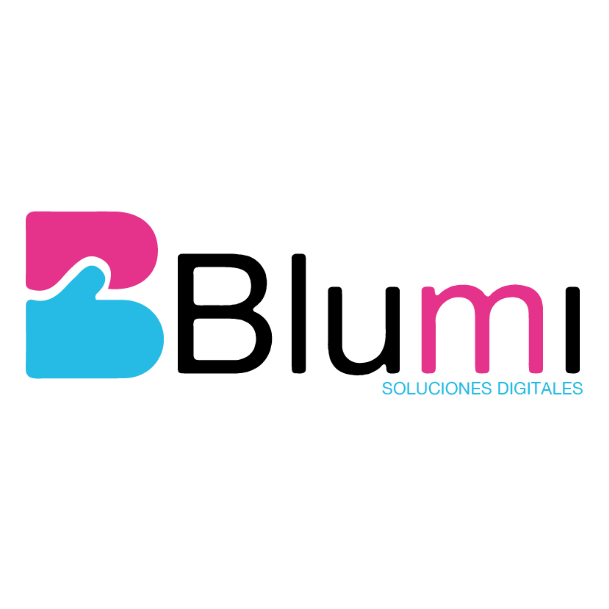 Logo de Blumi SPA